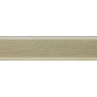 Плінтус Salag SG56 73 Дуб полярний 22х58х2500 мм